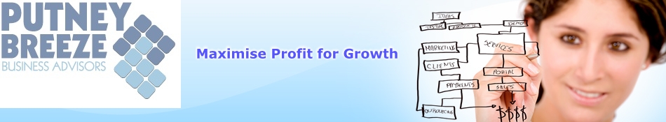 Business Knowledge Transfer